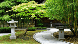 Les jardins japonais fascinent par leur capacité à évoquer la sérénité et la beauté naturelle grâce à une sélection minutieuse de végétaux, notamment les arbres emblématiques du Nippon. Ces essences du Japon, choisies pour leur symbolisme profond et leurs couleurs […]