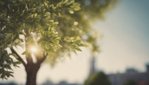 Décembre, période propice à la plantation d’arbres ? Zoom sur les avantages et les bonnes pratiques pour verdir son jardin en fin d’année. importance de la plantation d’arbres en hiver Les bienfaits de la plantation d’arbres en hiver sont nombreux […]