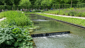 Face à l’intensification des épisodes pluvieux et à l’expansion urbaine, maîtriser la gestion des eaux de pluie est devenu un enjeu essentiel pour nos villes et nos territoires. Les fosses de rétention végétalisées émergent comme une solution innovante et respectueuse […]