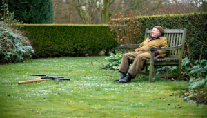 Le Jardinier Paresseux du Berkshire : Semaine du 11 décembre 2025