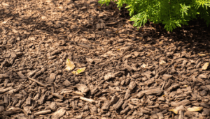Le jardinage en 2025 met l’accent sur des méthodes écologiques et efficaces pour préserver la santé des sols tout en embellissant nos espaces verts. Le paillage, essentiel à cette démarche, se décline en une multitude d’options dont les écorces traditionnelles […]