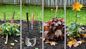 Quatre erreurs de décembre qui compromettent gravement votre jardin