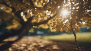 Découvrez les arbres parfaits à planter en septembre pour embellir votre jardin et contribuer à la préservation de l’environnement ! 🌳 #PlantationEnSeptembre Choisir les variétés adaptées à la saison Dans le monde du jardinage, il est essentiel de planter des […]