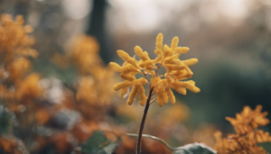 Découvrez les plantes idéales à planter en novembre pour embellir votre jardin en toute saison ! Quelles variétés privilégier pour une plantation réussie en automne ? Cet article vous donne tous les conseils pour des plantations florissantes. plantes vivaces pour […]