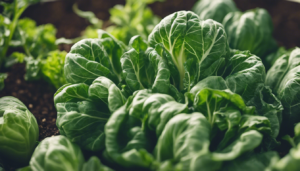 Découvrez les légumes à planter en juin pour une récolte abondante et savoureuse cet été ! les légumes à planter en juin selon votre région Si vous cherchez à diversifier votre potager en juin, c’est le moment idéal pour planter […]