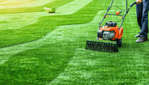 Après un été marqué par une sécheresse persistante, de nombreux jardiniers se retrouvent avec une pelouse jaunie, clairsemée et mal en point. Ce joyau vert, reflet de l’entretien d’un jardin, nécessite aujourd’hui des soins précis et adaptés pour retrouver éclat […]