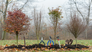 À l’approche de l’hiver, vous sentez sans doute l’envie de préparer votre jardin pour la saison froide. Pourquoi est-ce important ? Tailler certains arbustes à cette période de l’année peut non seulement les maintenir en bonne santé, mais aussi favoriser […]