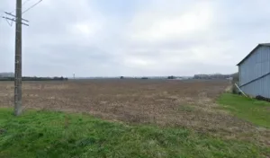 Mis Jean-Dominique à Savonnières