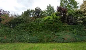 Amena Jardin S à Bessenay