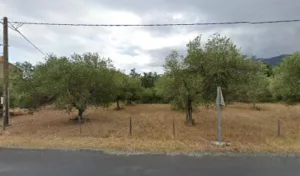 Eco Jardin à Argelès-sur-Mer