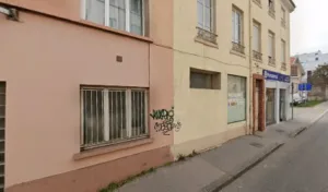 Terrier Bernard à Lyon