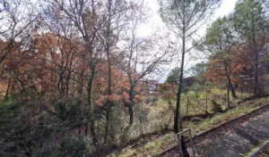 ACE GARDEN à Draguignan