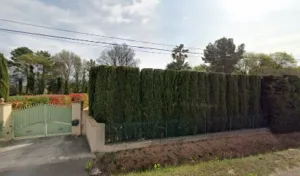 Le Coq Bruno à La Motte