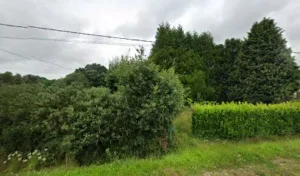 Atelier Design & Gardens à Plouisy