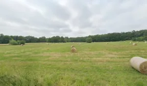 Baladie Jean-Claude à Montbartier