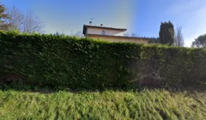 JNC Paysage à Villebrumier