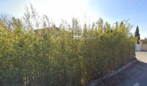 Renoux Gilbert à Draguignan