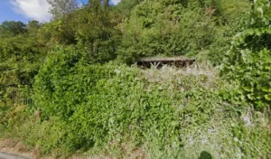 Flore Et Nature à Ports-sur-Vienne