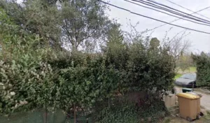 Delaye à Cheval-Blanc