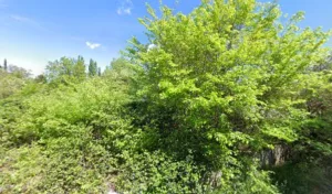 Sud Espace Vert à Carpentras