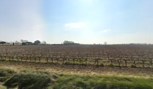 Chaignes Alain Jardins à Villeneuve-lès-Béziers