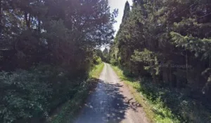 OLIVIER MEFFRE PAYSAGISTE à Saint-Rémy-de-Provence
