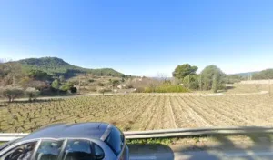 Coopérative Agricole Ciotadenne à Saint-Cyr-sur-Mer