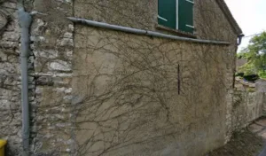 Chaumont Pascal à Villiers-en-Désuvre