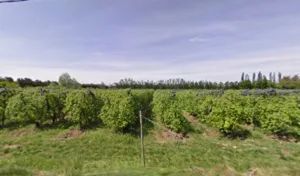 Terrassement paysagiste L’isle sur sorgue Vaucluse Cavaillon Carpentras Lagnes 84 à Lagnes