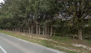 Végétech à La Crau