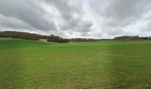 Leroy Paysage à Cauvigny
