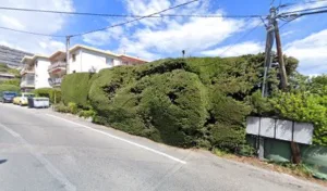 Falfali à Vence