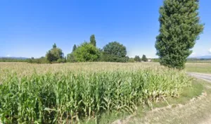 Blache Daniel à Étoile-sur-Rhône