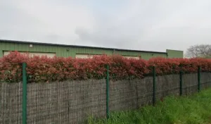 Arflor à Ballainvilliers