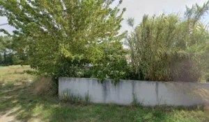 Renaudineau Noé à Saint-Hilaire-de-Riez
