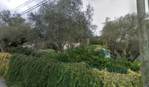 AU JARDIN PROVENCAL à Le Beausset
