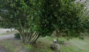 Au Jardin Net à Fontenay-le-Comte