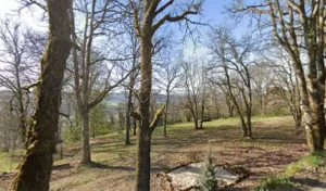 Olivier Paysages à Montignac-Lascaux