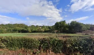 Mercier Bocapaysage à Mortagne-sur-Sèvre
