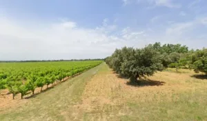 Les Jardins de la Drôme Proven à Saint-Pantaléon-les-Vignes