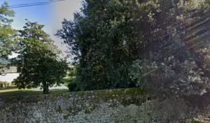 Sud Ouest Elagage à Castelnau-Magnoac