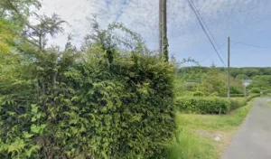 Samuel Desmettre Paysagiste à Crosville-sur-Scie