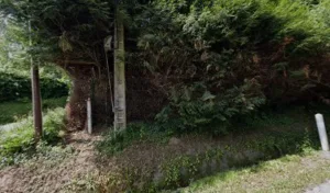 Reine Pierre à Saint-Pierre-le-Viger
