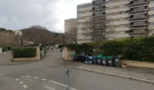 Vert Tige à Marseille