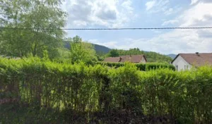 Viriot Daniel à Saint-Dié-des-Vosges