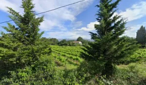 Chretien Guillaume à Trets