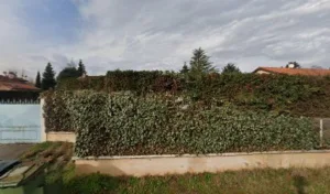 Méchain à Saint-Georges-de-Reneins