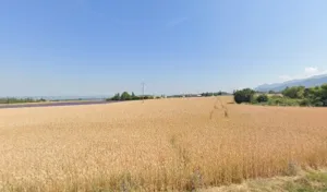 Pépinières PIROLA Paysage à Barbières