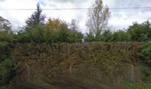 Boyer Christian à Villars-les-Dombes
