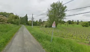 Sarl Esteve Paysage à Marmande